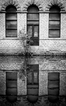 Dark Reflections
