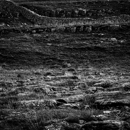 Limestone Journey