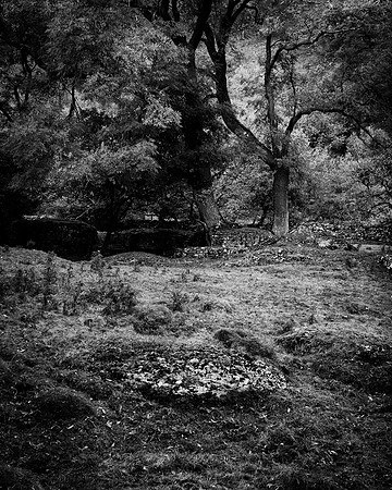 The Bow (mono)