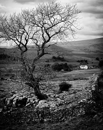 Winskill Stones (Mono)