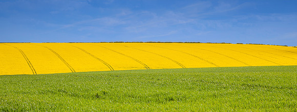 green yellow and blue in lincolnshire