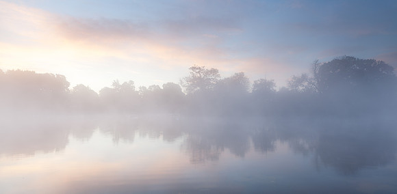 Clumber Mist