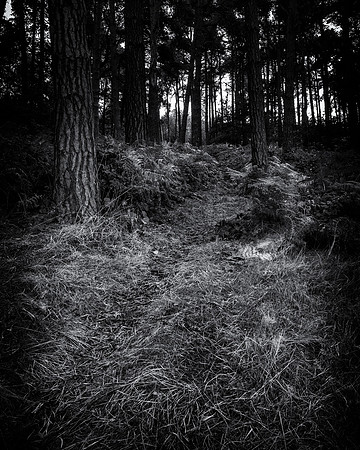 Lost Track