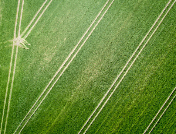 The Green Fields Of Forever Land II