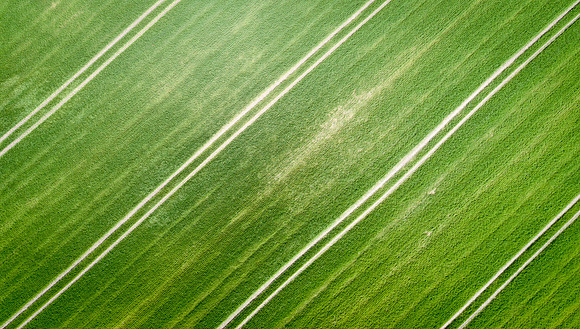 The Green Fields Of Forever Land I