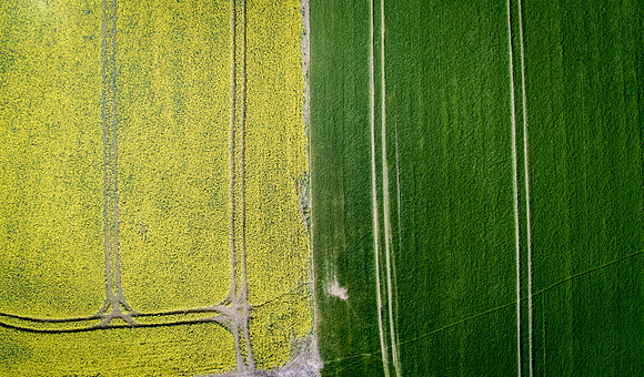 The Green Fields Of Forever Land VI