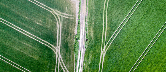 The Green Fields Of Forever Land IV