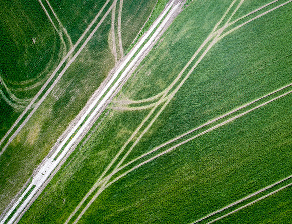 The Green Fields Of Forever Land III