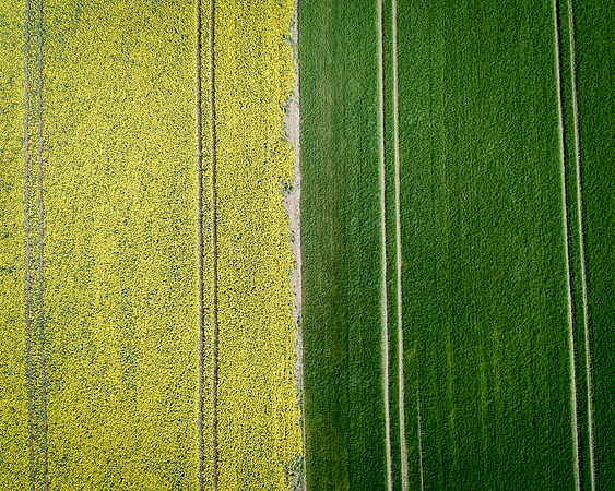 The Green Fields Of Forever Land VII