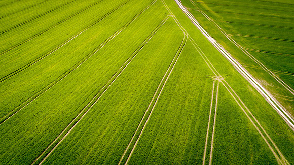 The Green Fields Of Forever Land VIII