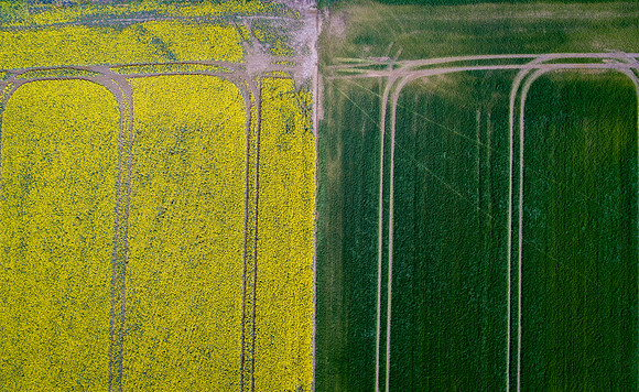 The Green Fields Of Forever Land X