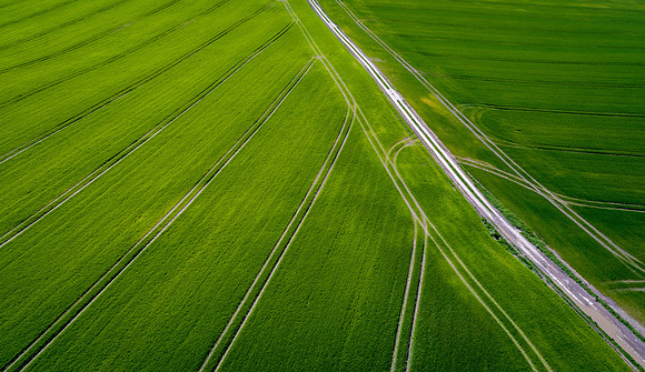 The Green Fields Of Forever Land XIII