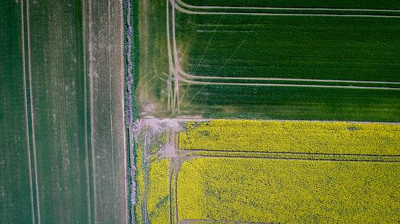 The Green Fields Of Forever Land XIV