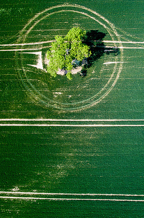 Convergence V