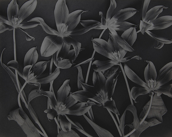 John Blakemore - 4