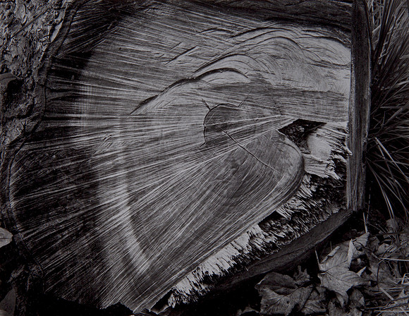John Blakemore - 5