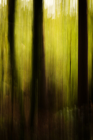 L O S T