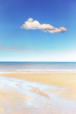 B E A C H E S