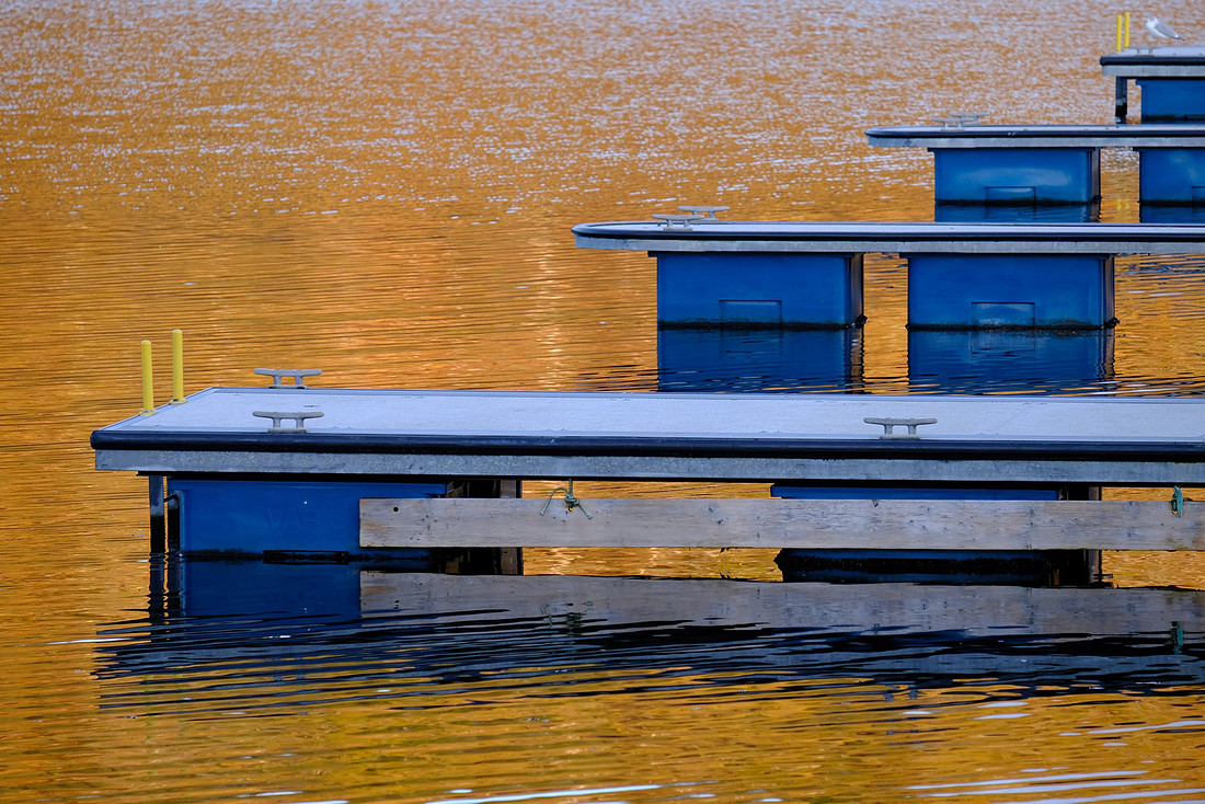 On Golden Loch