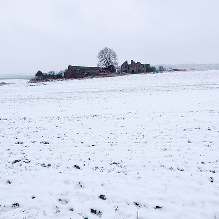 Cold Comfort Farm