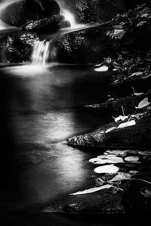 Dark Torrent