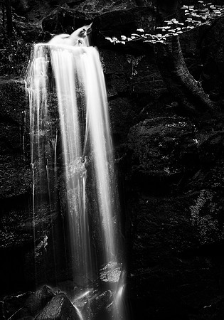 Dark Falls