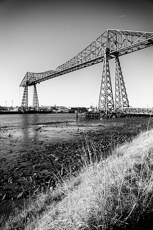 The Big Tees