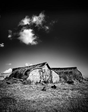 Dark Dwelling