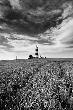 To The Lighthouse