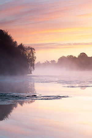 Sunrise on Clumber Mist